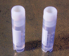 Cryotubes 2ml Internal Thread Serigraphed - 100pcs